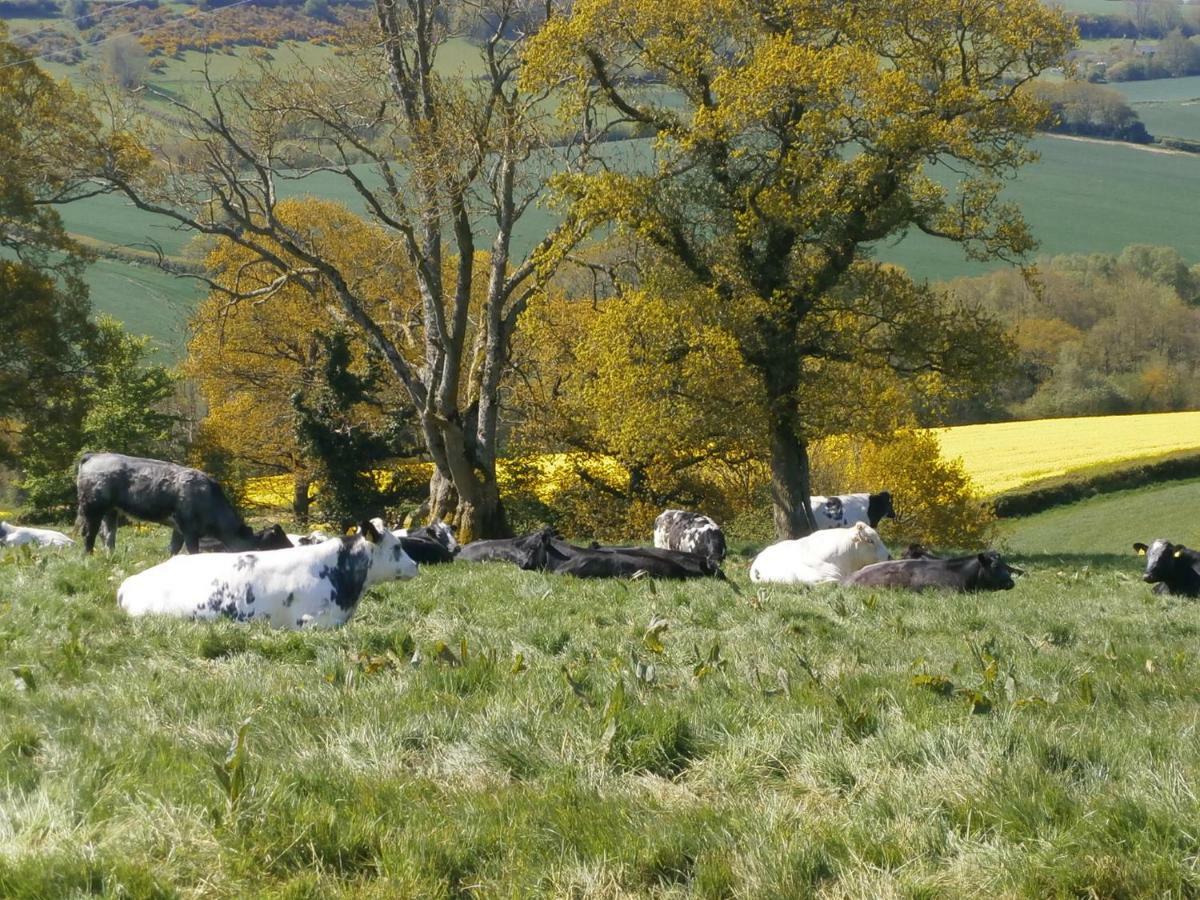 Harepath Farm 1 Vakantiehuis Exeter