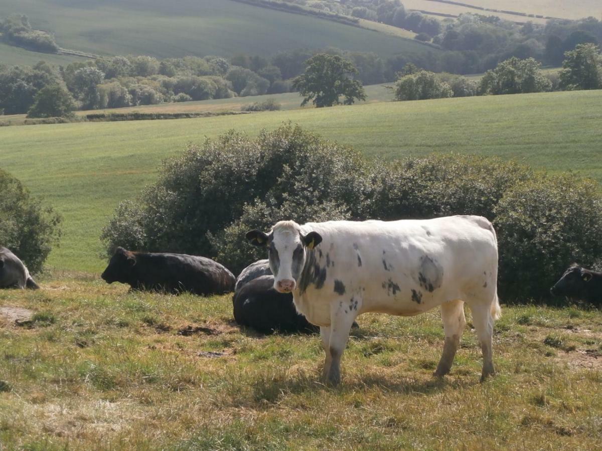 Vakantiehuis Harepath Farm 1 Exeter